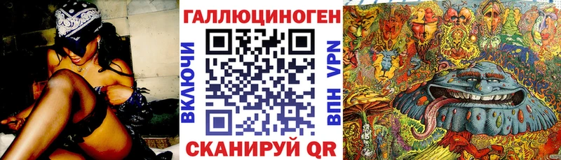 Галлюциногенные грибы Psilocybe  Красноармейск 